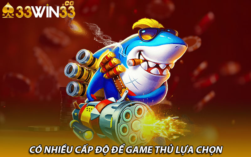 Có nhiều cấp độ để game thủ lựa chọn